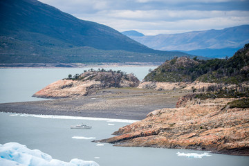 英语单词tree什么意思