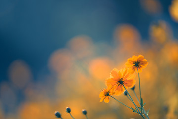 你爱的不是我,你心里还藏着谁,你爱的不是我,是否是我错了,是什么歌里的？