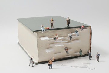 英语单词tree什么意思