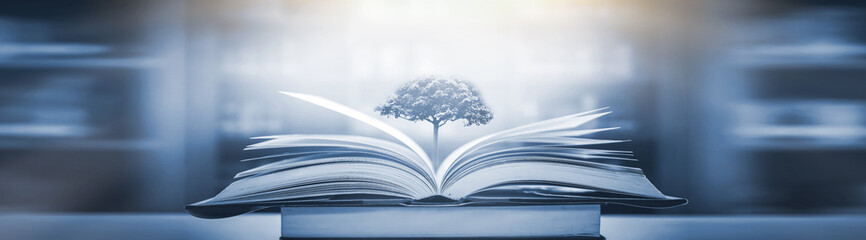 100句英语句子（谚语和名言一共一百句）<带中文翻译>