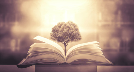 中国最著名的十大书籍