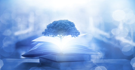 医疗行业有哪些项目