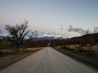 英语单词tree什么意思