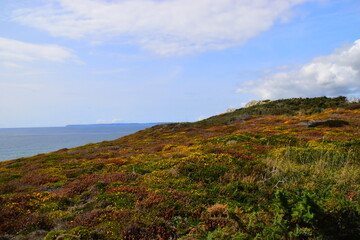 医疗行业有哪些项目