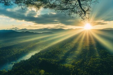 医疗行业有哪些项目