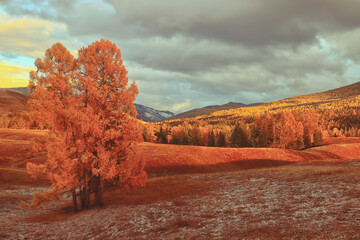 心理健康知识科普手抄报