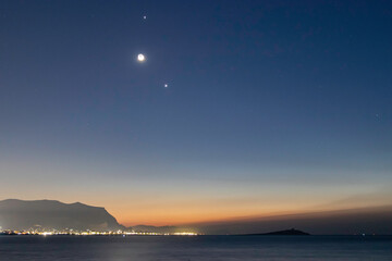 scientist英语怎么读