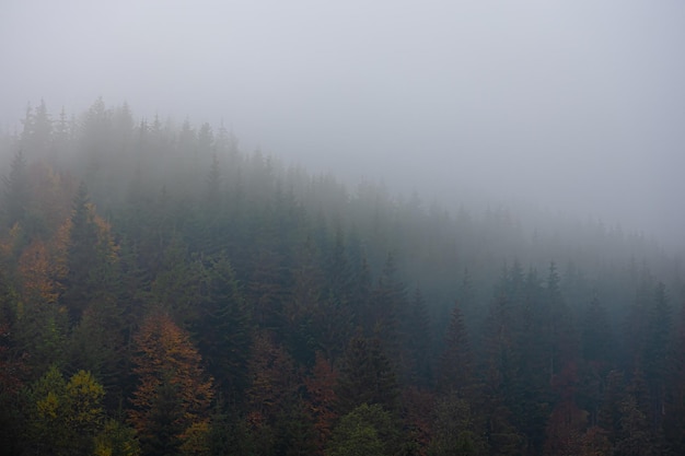 医疗行业有哪些项目