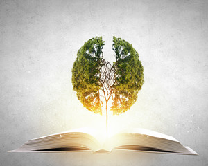 中国最著名的十大书籍