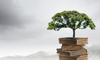 100句英语句子（谚语和名言一共一百句）<带中文翻译>