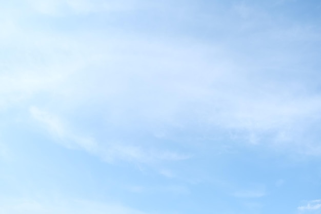 scientist英语怎么读