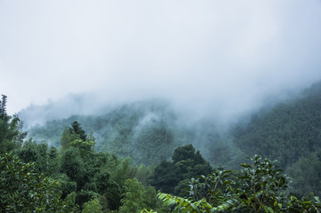 心理健康知识科普手抄报